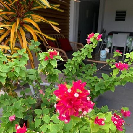 Le Tropical Appartement 1 Ou 2 Chambres Les Anses-d'Arlets Dış mekan fotoğraf