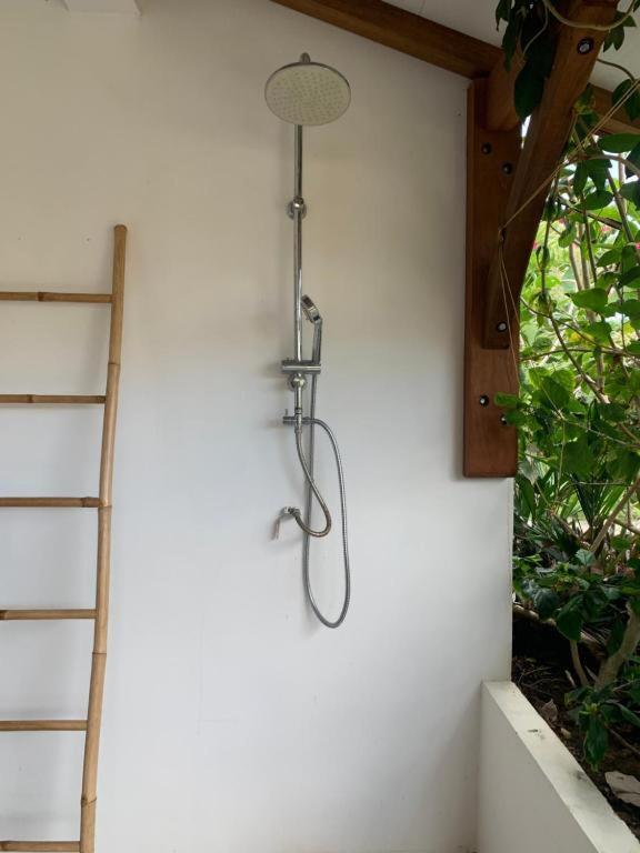 Le Tropical Appartement 1 Ou 2 Chambres Les Anses-d'Arlets Dış mekan fotoğraf